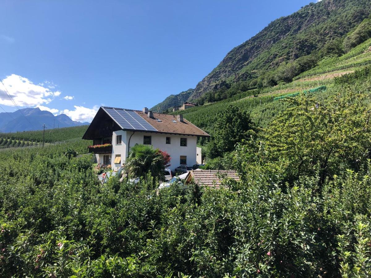 דירות קסטלבלו Pixnerhof - Urlaub Am Biohof מראה חיצוני תמונה
